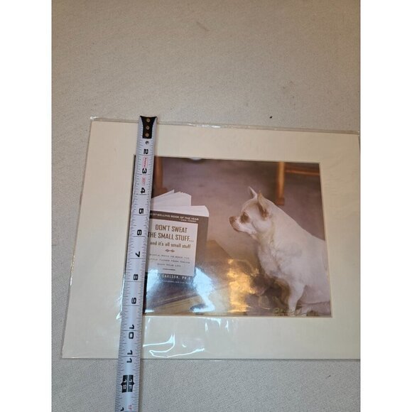 Chihuahua Staring At Book "Dont Sweat The Small Stuff" Photography Print By Eliz - Picture 4 of 8